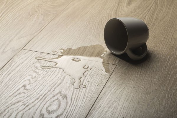 Ламинат Kronopol Aurum Eco Fiori 4587 Oak Tulip в #REGION_NAME_DECLINE_PP#